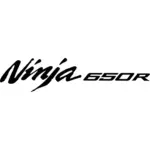 Kawasaki Ninja 650R Decal