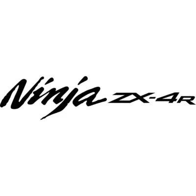 Kawsaki Ninja ZX-4R Decal