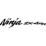 Kawasaki Ninja ZX-4RR Decal